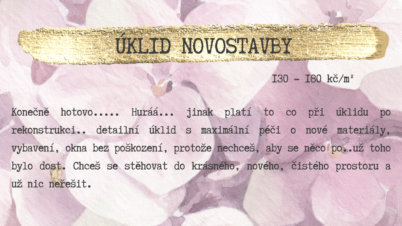 baner web (Web) (40)